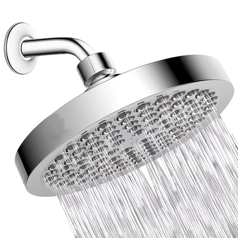 Adjustable Shower Head 2.5 GPM GPM, Silver
