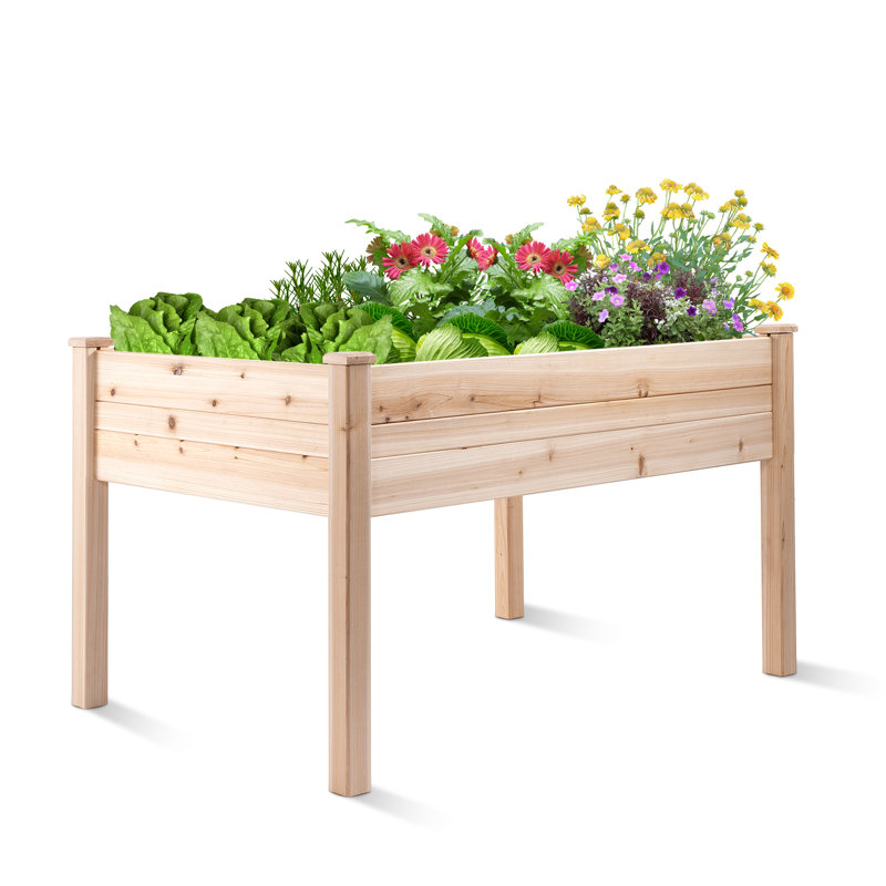 Shavina Wood Elevated Planter