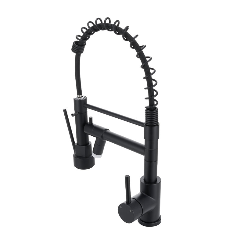 Belfry Kitchen Pull Out Kitchen Faucet, Black