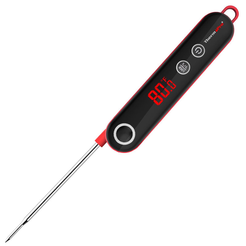 ThermoPro Thermometer
