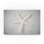 « white starfish », reproduction d’impression sur toile tendue-26856490