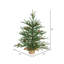 Sapin de Noël pré-éclairé Eastport-1405409096-1431522804