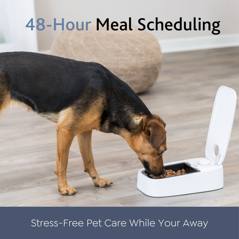 White Automatic Single Serving Pet Feeder with Timer