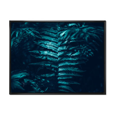 Beautiful Green Green Dark Leaves in Forest - Photographie sur toile