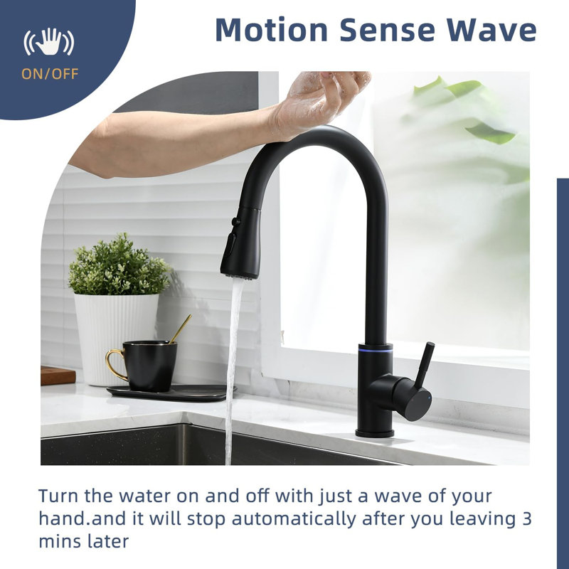 Belfry Kitchen Aliff Kitchen Faucet