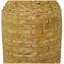 Bambou d'Afrique-203546504-203546505