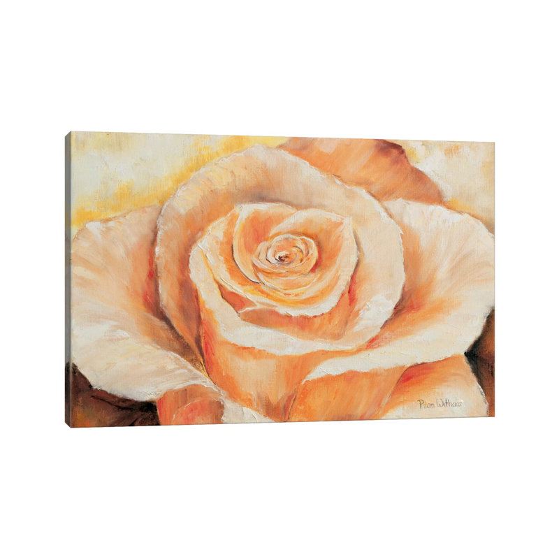 Rose In Detail by Rian Withaar - Wrapped Canvas Panoramic Gallery-Wrapped Canvas Giclée, 20.32 cm H x 30.48 cm W