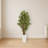 Bamboo Tree in White Tower Planter