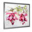 Rose rose fuchsia fleurs de gouttes d'oreille - Fuschia-915529882-882459872