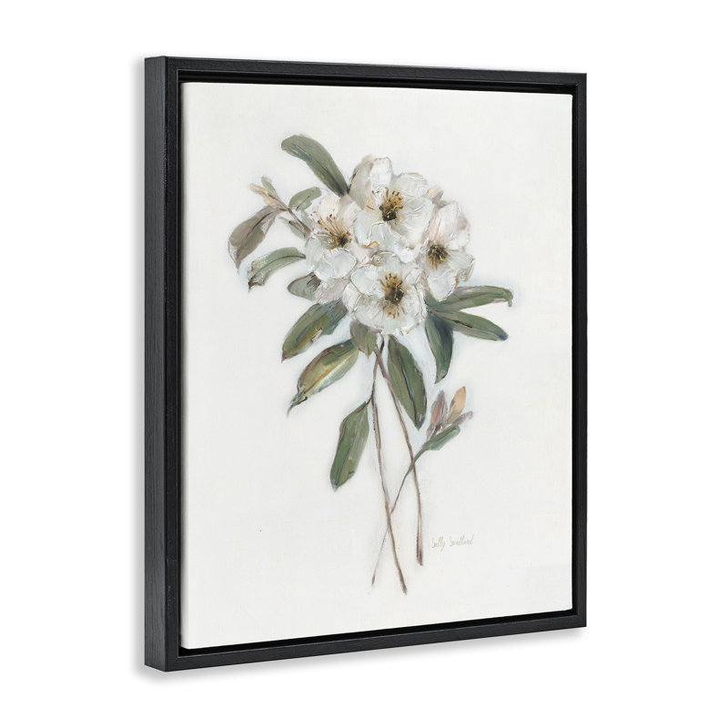 Cadre flottant Flower Sprig, par Sally Swatland, Cadre flottant noir de jais, H 21 po x l 17 po
