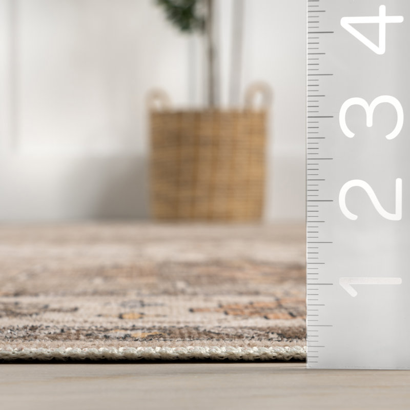 Haskett Distressed Machine Washable Area Rug, Rectangle 6' x 9'