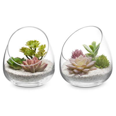 Glass Terrarium