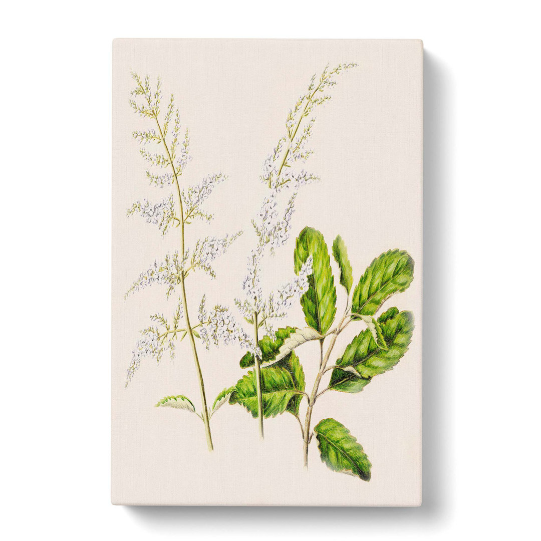 Lilac Flowers by Sarah Featon - Wrapped Canvas