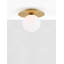 Benjamil Glass Flush Mount