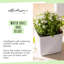 Cube Pot Planter-36478382-36478383