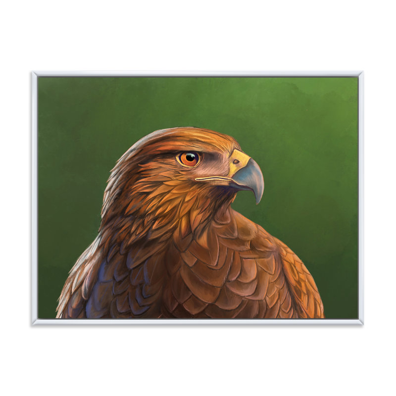 Portrait d'un oiseau Hawk - impression sur toile, H 30 po x l 40 po x 1,5 po, Cadre blanc
