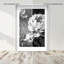 Still Peony Print by Oliver Gal-1187148521-1187148526