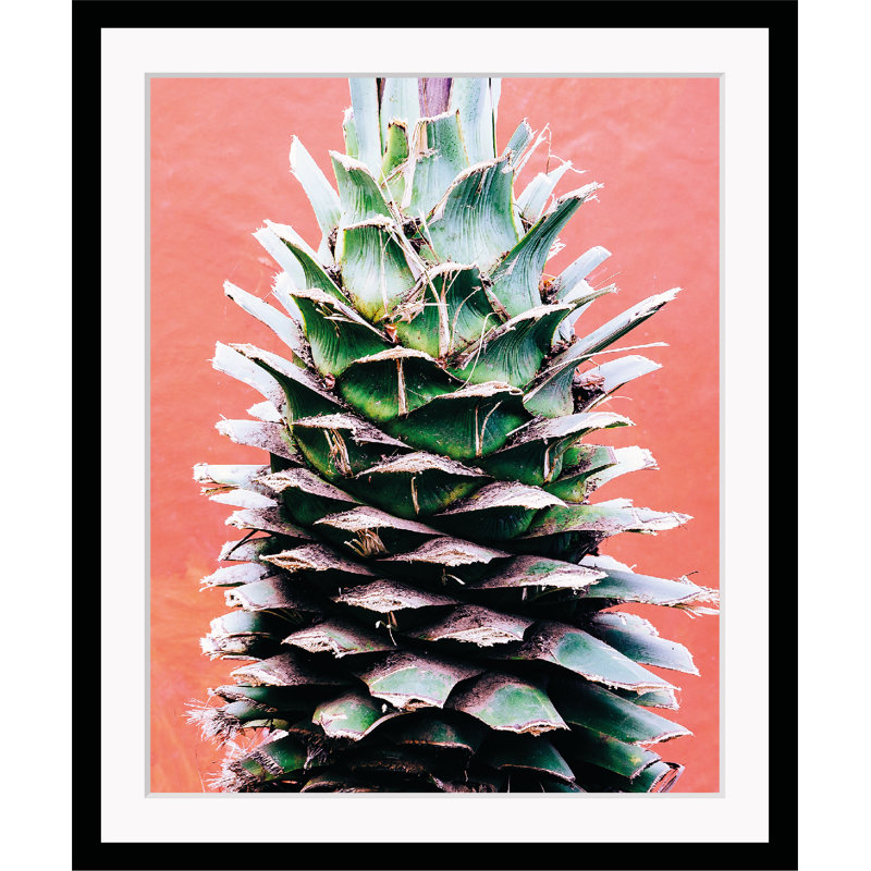 Plant - Single Picture Frame Print