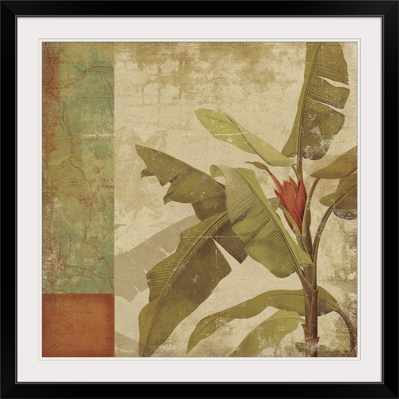 «Planta» par Tessio, impression, H 20" x l 20" x P 1", Cadre noir