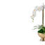 Monet RealTouch Orchid in Gold Pedestal-1201307057