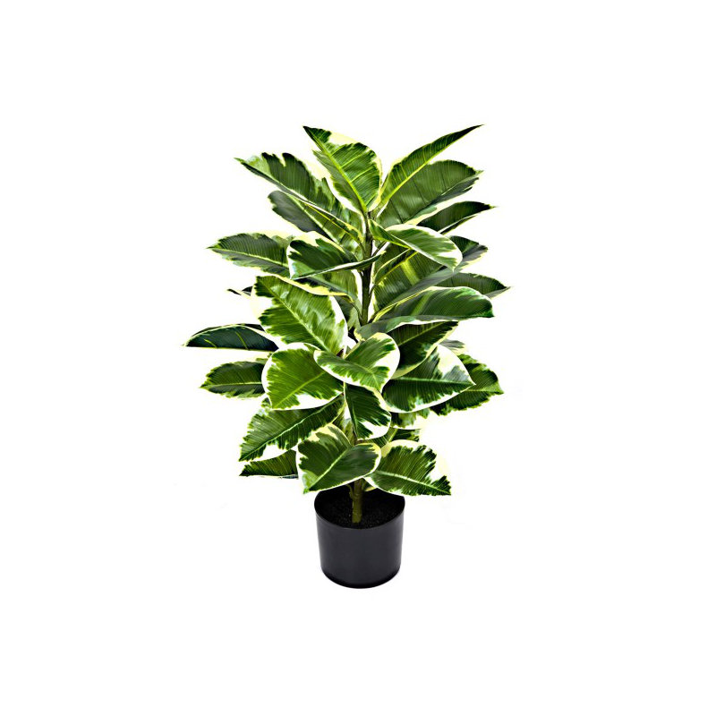 107cm Plant