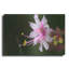 «Beautiful Flora» par Gordon Semmens-1049243982