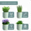 Ensemble de jardinières d'intérieur avec plateau-1028904003