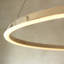  1 - Light Gold LED Pendant