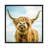 Highland Cow by Mark Gemmell - Print on Canvas-117554266-117554267