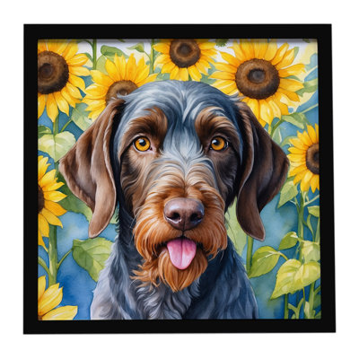 German Wirehaired Pointer in Sunflowers Framed Metal Print