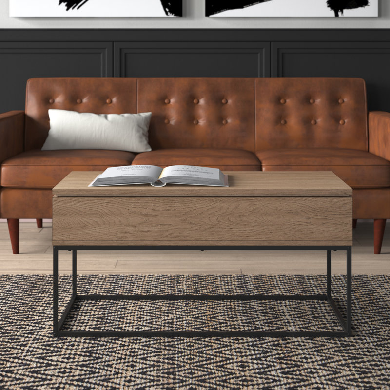 Stoltz 40" Lift Top Coffee Table with Storage, Smoked Oak