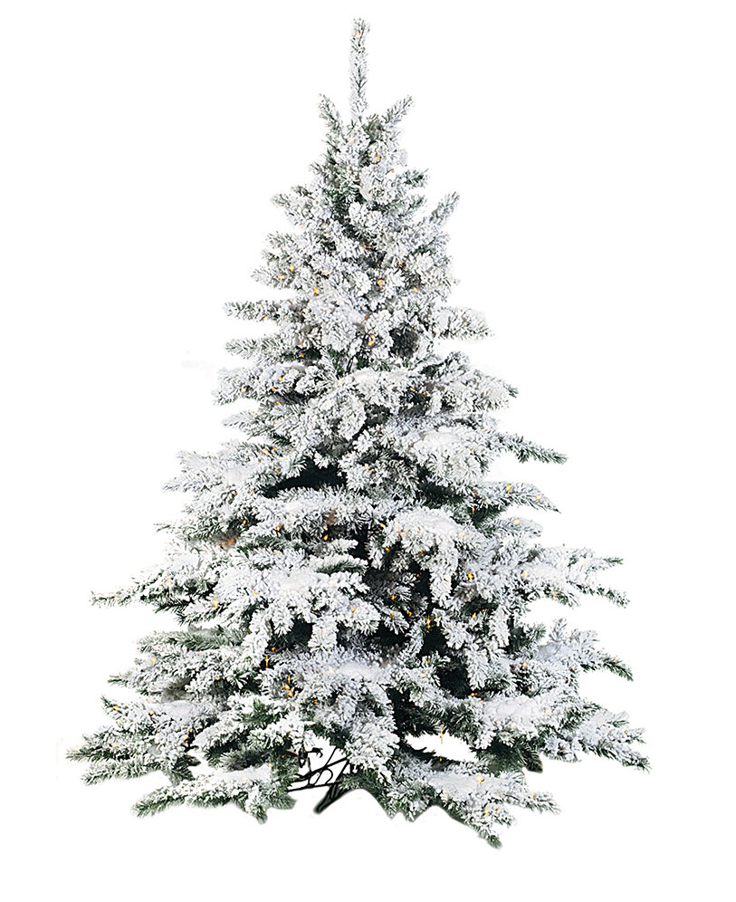 The Holiday Aisle® Leatham 9' Lighted Pine Christmas Tree & Reviews ...