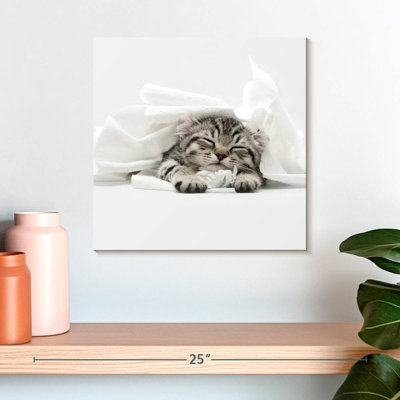 Crowle Cozy Lynx Cat