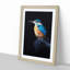 Kingfisher Bird in Abstract - Picture Frame Painting Print-55609530-55609529