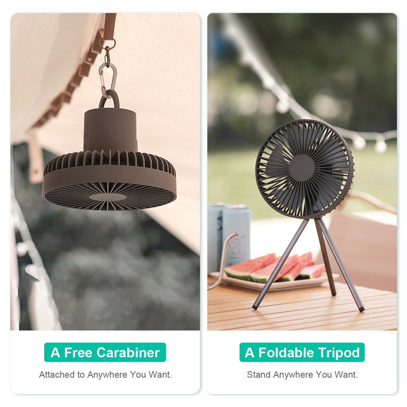 Ventilateur Edge Collections