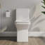 Toilette monobloc Ace