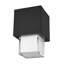 Leagan LED Outdoor Flush Mount