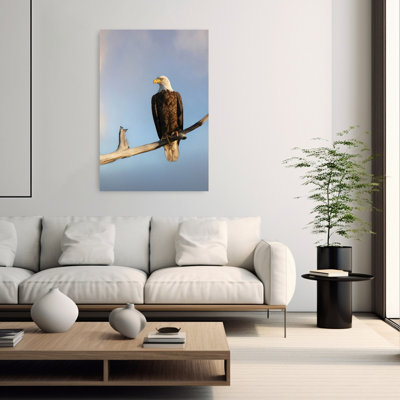 Watchful Gaze Realistic Rustic Contemporary Bird Eagle Nature Portrait Wall Art