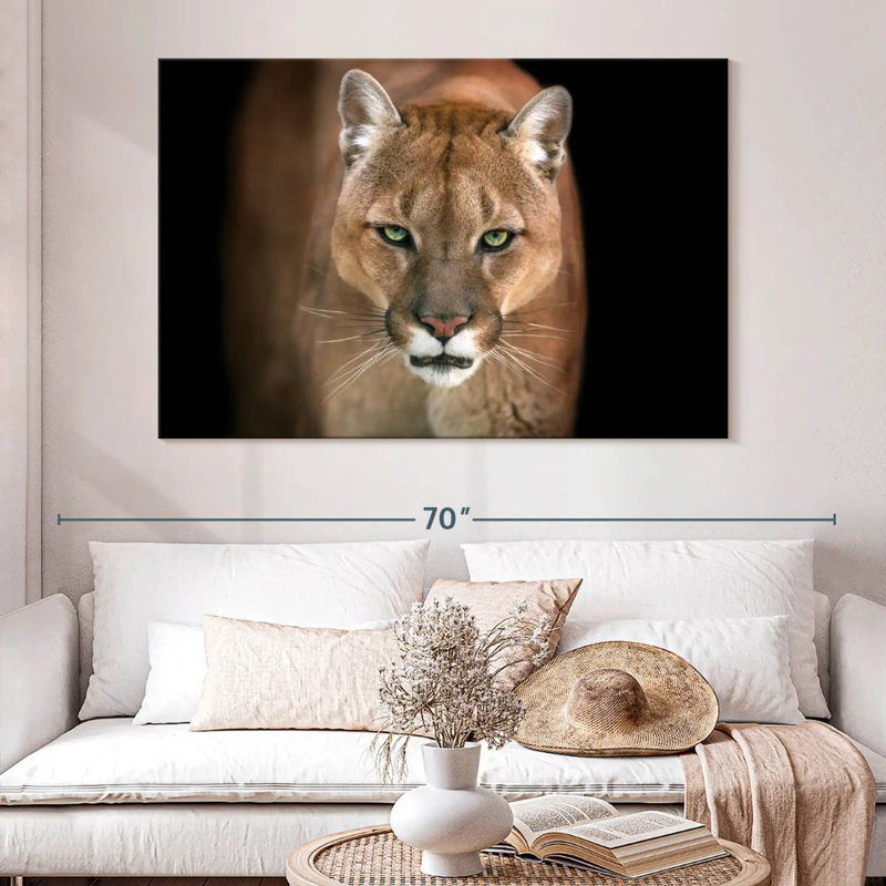Puma féroce Brampt, H 20 po x l 30 po