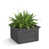 Gris graphite