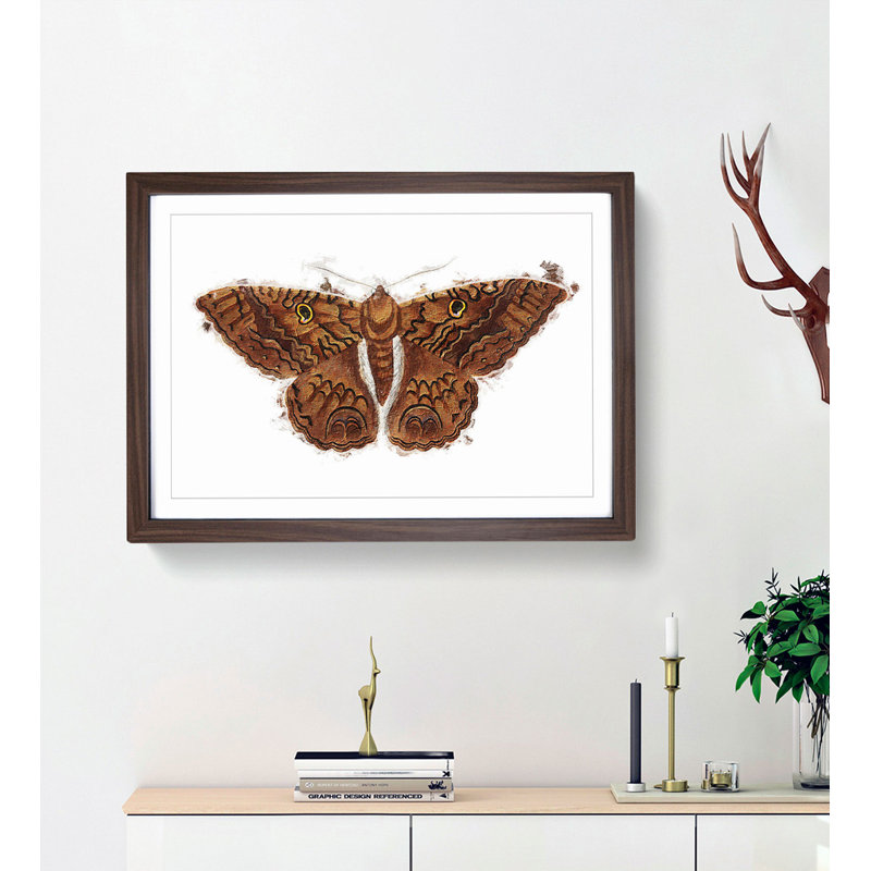Sable Moth by George Shaw - Picture Frame Painting Print, 36cm H x 48cm W x 2cm D, Walnut Framed