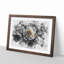 A Crisp White Rose Watercolour - Picture Frame Graphic Art Print-56740552-56740553