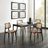 Starla 18.9" W Leather Side Dining Chairs-1662271028