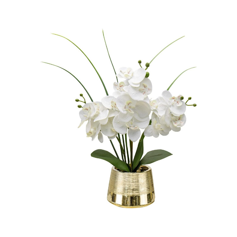Arrangement