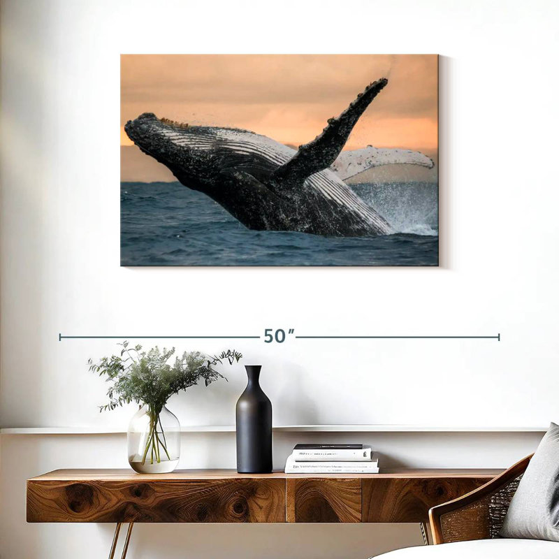 Brampt Humpback Whale Toss, 24" H x 36" W