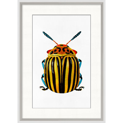 Rainbow Insect 1 Framed