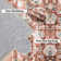 Shiori Washable Indoor Rug