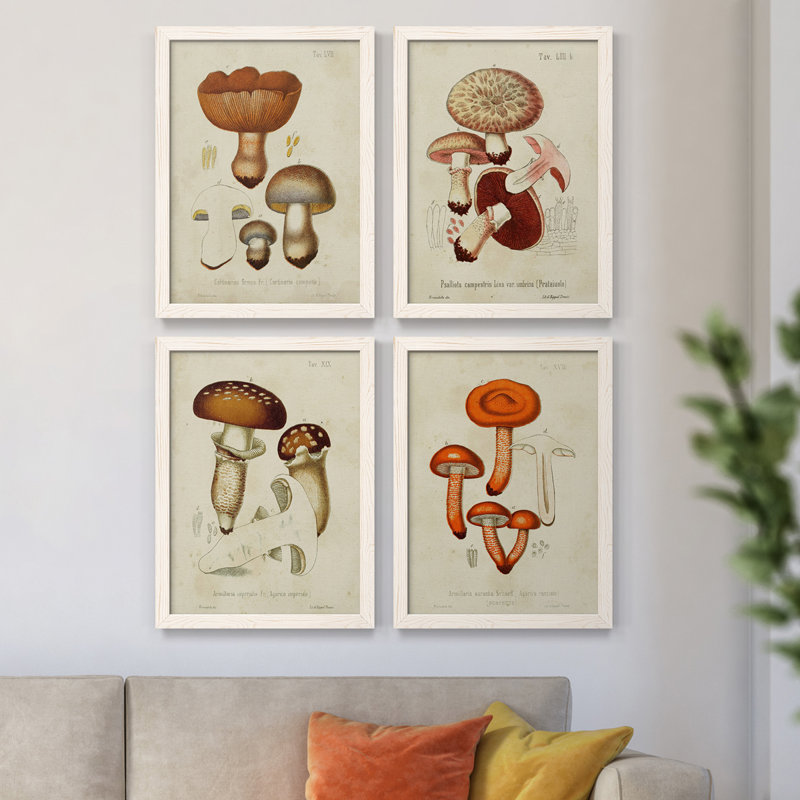 Mushroom Variétés I - Ensemble de 4 reproductions d'art sur toile encadrées, H 43,5 po x l 31,5 po x P 1 po, Blanc