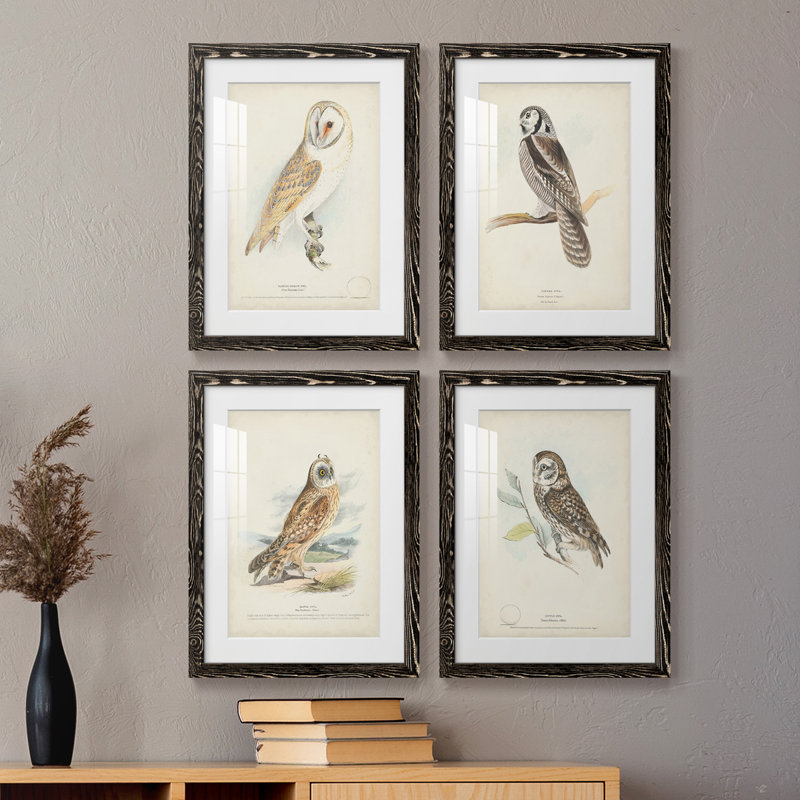 Barn Owl - ensemble de 4 reproductions de cadres photo, H 31,5 po x l 47 po x P 1,5 po, Noir