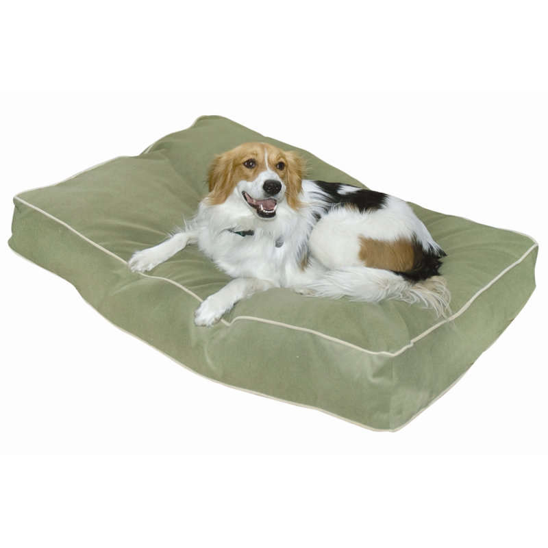 Lit pour chien Olivarez Classic, Moyen (L 42 po x l 30 po x H 6 po), Moss